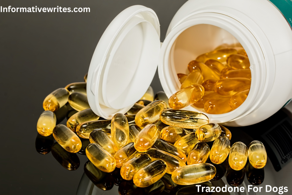 trazodone for dogs