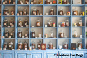 trazodone for dogs
